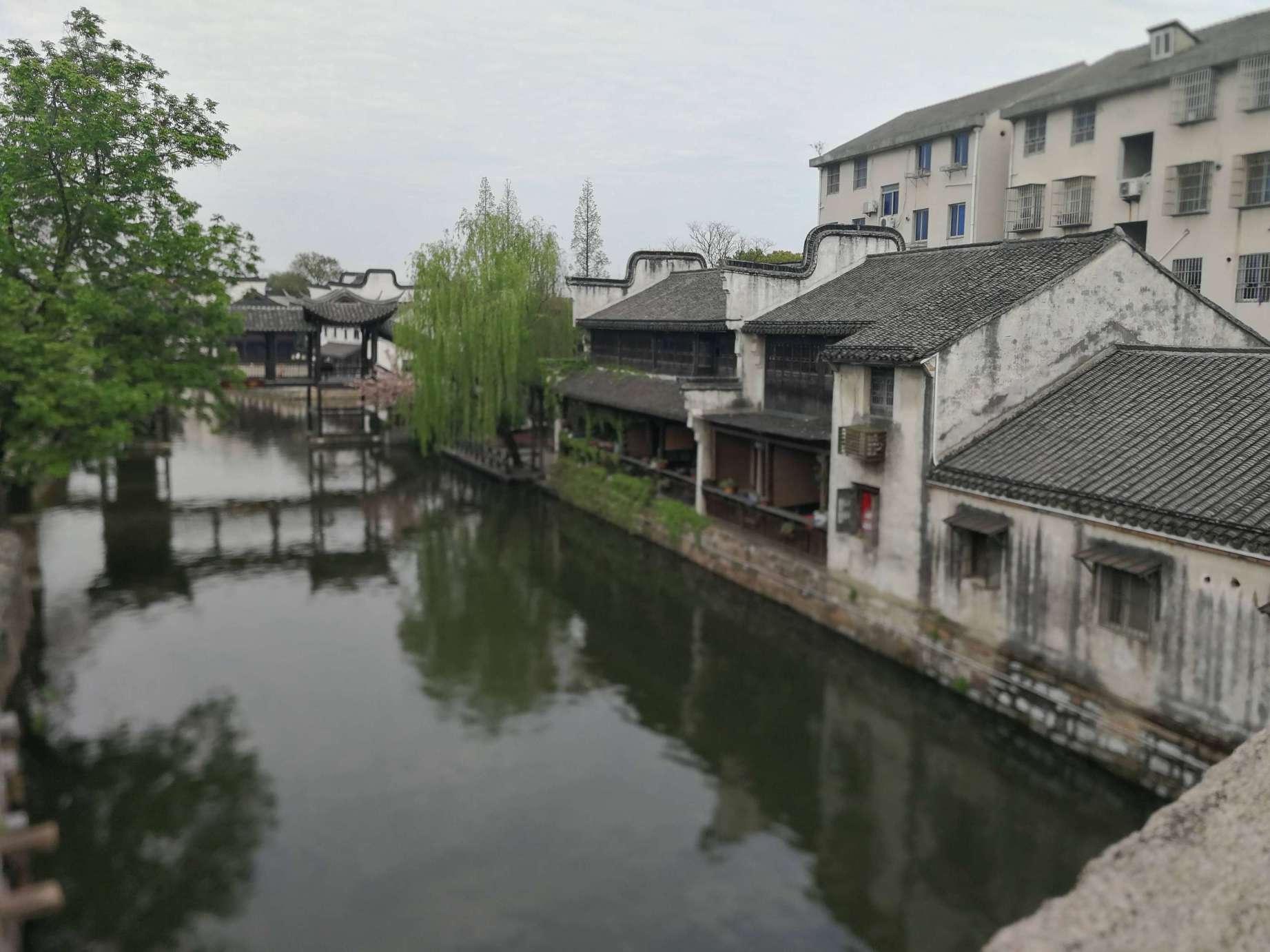 针织裙