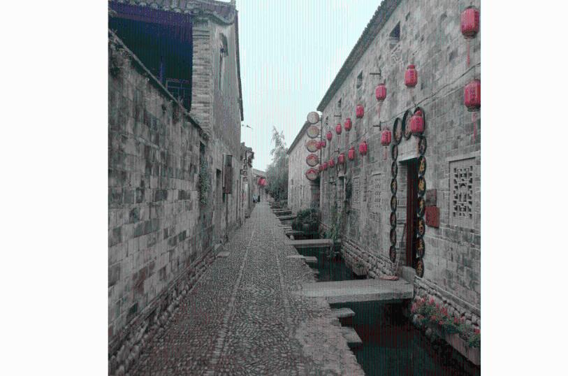 小僵尸射飞鸟